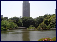 Shinjuku Gyoen 17